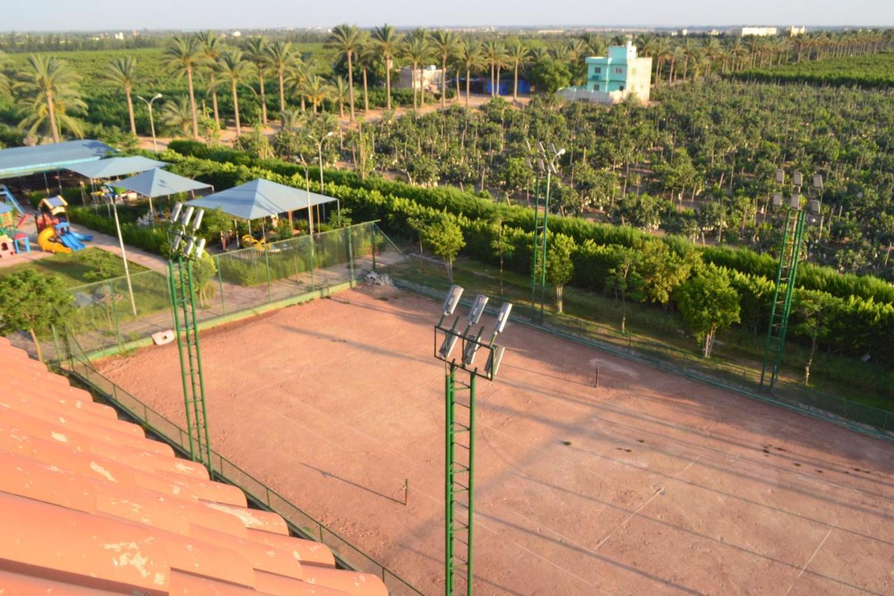 Green Desert Sadat City Exteriér fotografie